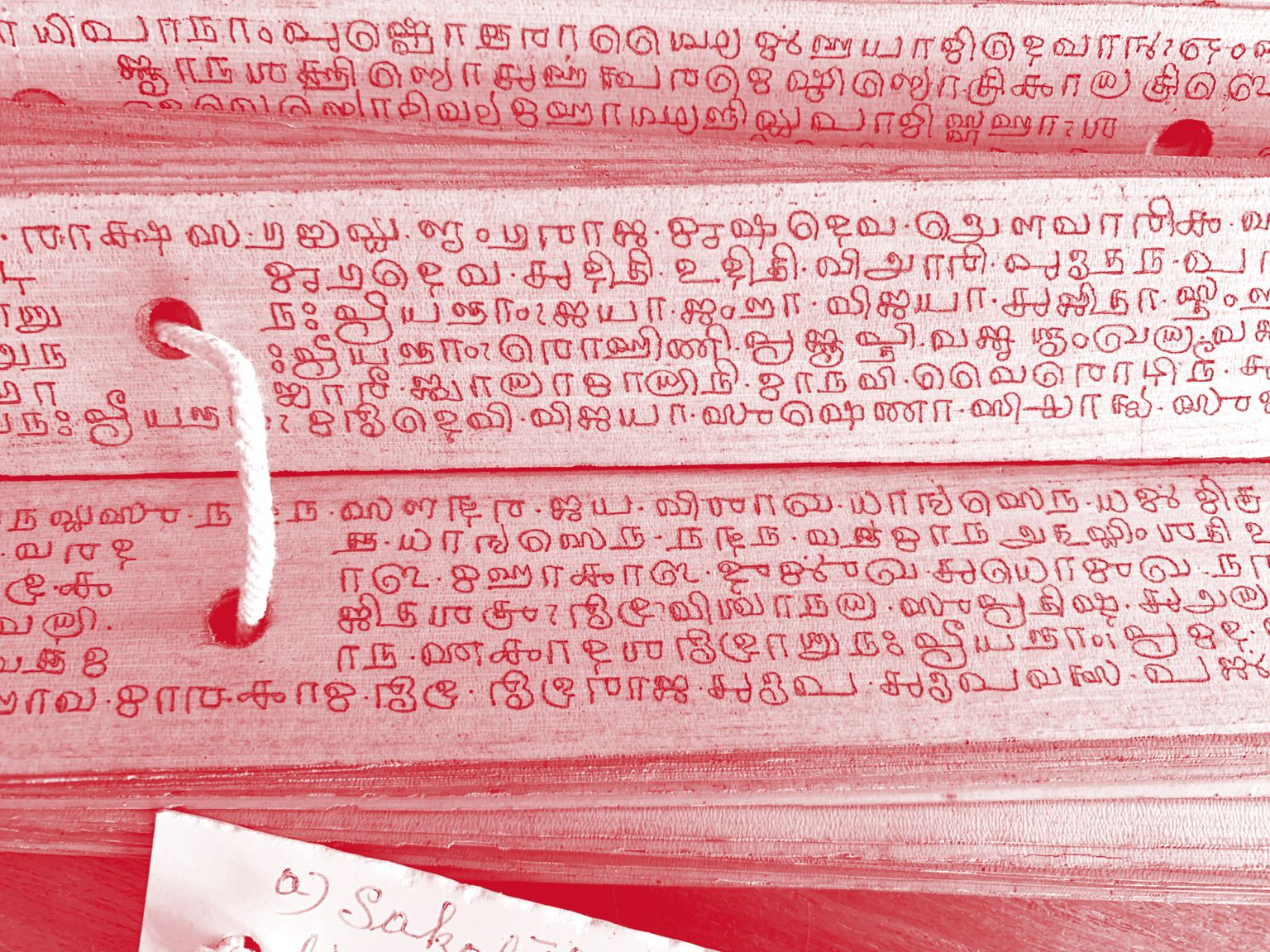Manuscrit sur ôles, écriture grantha, utilisée au pays tamoul pour écrire le sanskrit.